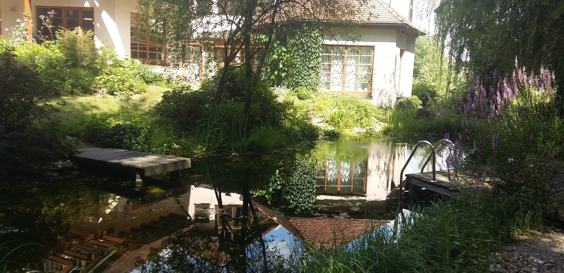 Neben der Arbeit haben wir mal einen Blick in den Garten riskiert.